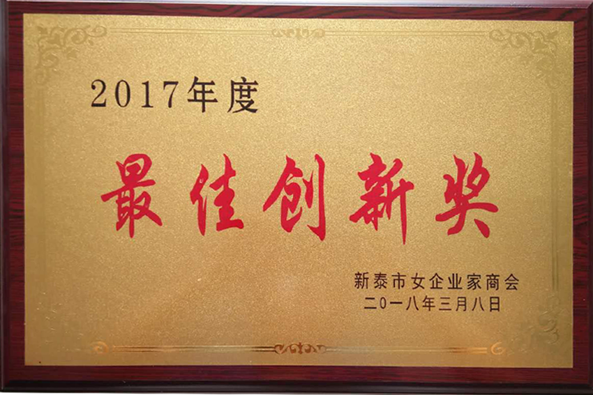 我公司董事长荣获2017年度最佳创新奖