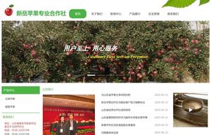 新泰市新岳苹果专业合作社