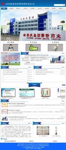 山东鲁抗医药集团赛特有限责任公司